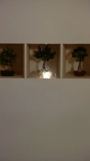 20170713_003654.jpg