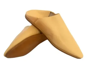 maison.jpg