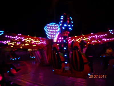 010.JPG