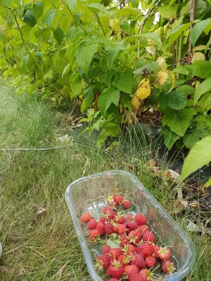 20170722_151433.jpg