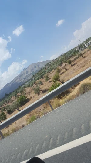 20170726_155331.jpg