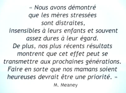 Michael meaney soutien aux meres.PNG