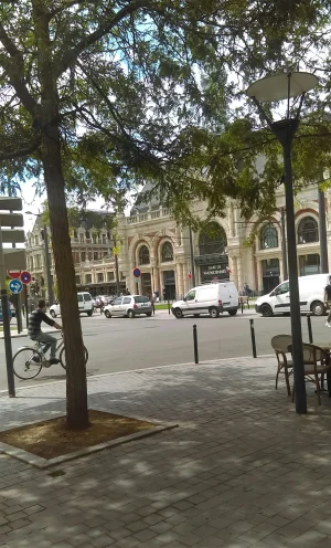 IMAG0220_1.jpg