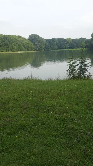 20170801_164228.jpg