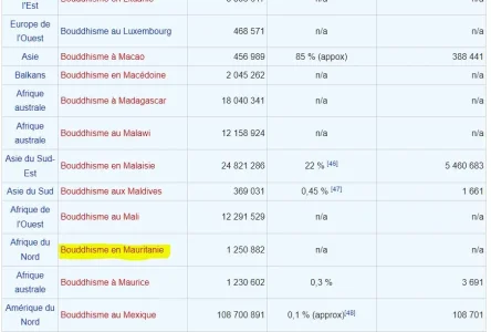 mauritaniewikifake.JPG