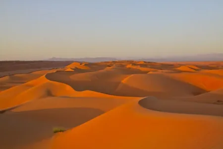 wahiba sand.jpg
