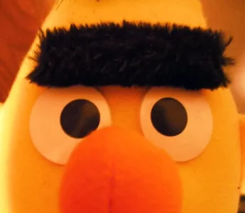 bert.jpg