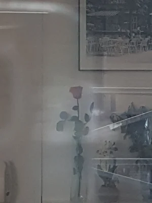 20170814_100819.jpg