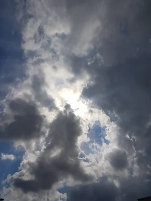 20170816_161419.jpg
