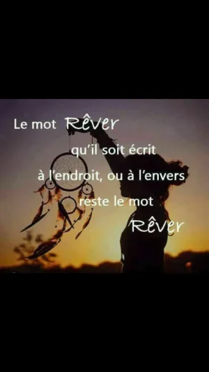 IMG_7848.PNG