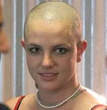 10629358.jpg