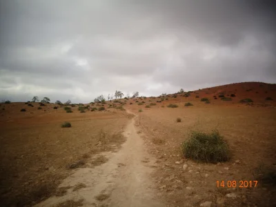 119.JPG