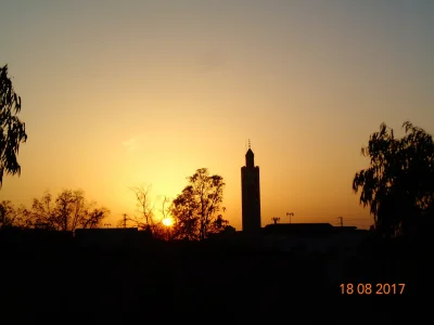 205.JPG
