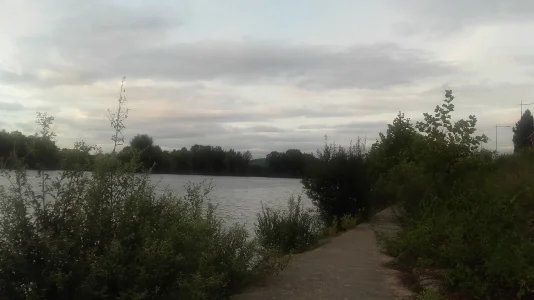 20170905_195957.jpg