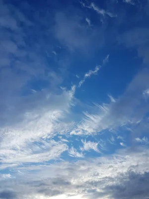 20170905_190657.jpg