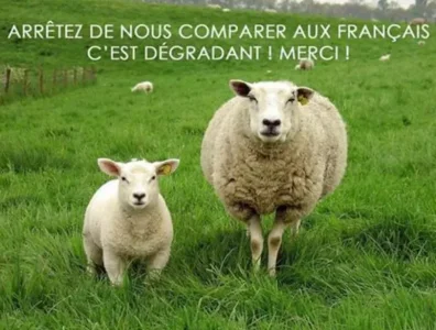 moutons insoumis.PNG