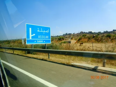358.JPG