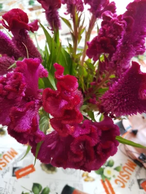 20170909_130526.jpg