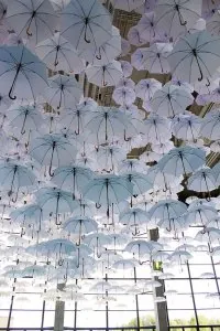 7752ff2c10246cad816ef451a61e0375--white-umbrella-umbrella-art.jpg