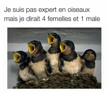 sans-titre1.png