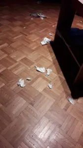 20170926_003454.jpg