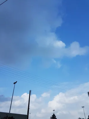 20170926_141409.jpg