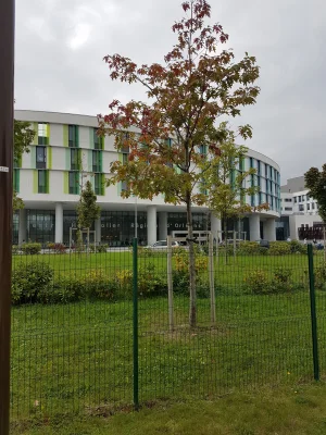 20170926_165521.jpg