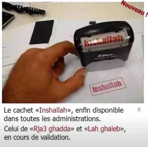 cachet.jpg