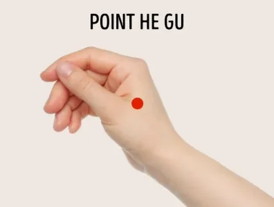 1.6.jpg