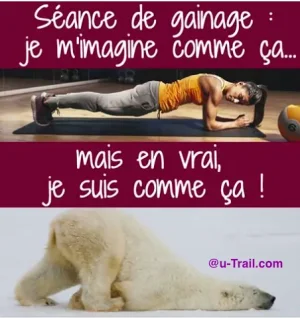 IMG_1988.PNG