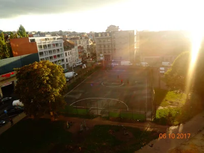 005.JPG
