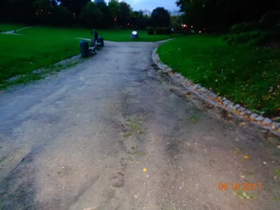 008.JPG