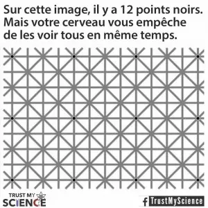 myscience.jpg