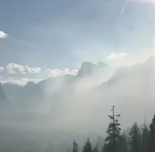 5D5EA05E-5F4A-463E-AD34-B28E8245025A.jpeg