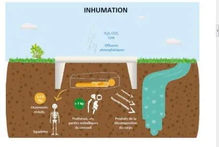 inhumation-bilan.jpg