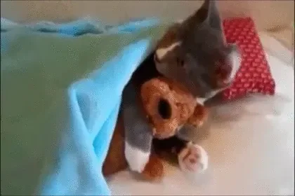 original.gif