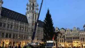 sapin.jpg