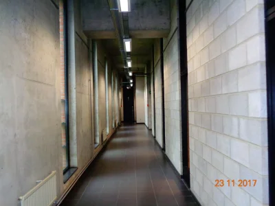 010.JPG