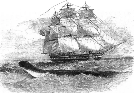 le-serpent-mer-existe-vraiment_width1024.jpg