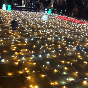 78.jpg