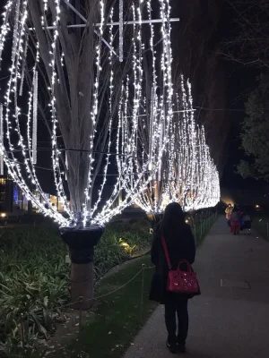 56.jpg