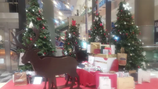 20171227_172654.jpg