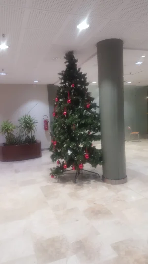 20171227_172957.jpg