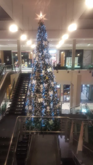 20171227_174237.jpg