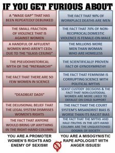 feminist-hypocrisy-101.jpg