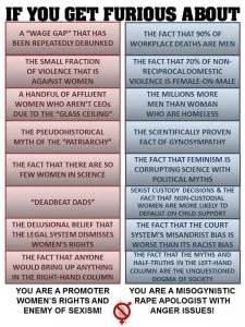 feminist-hypocrisy-101.jpg