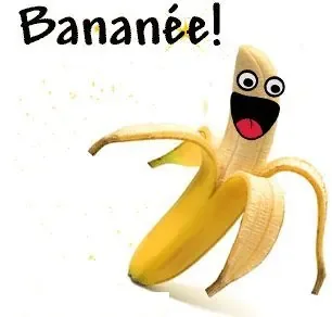 banannée.jpg