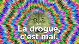 la-drogue-cest-mal-tl.png.jpg