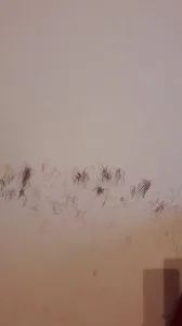 20180106_161653.jpg