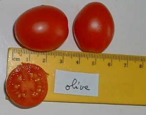 Tomate-olive-1189461444a.jpg